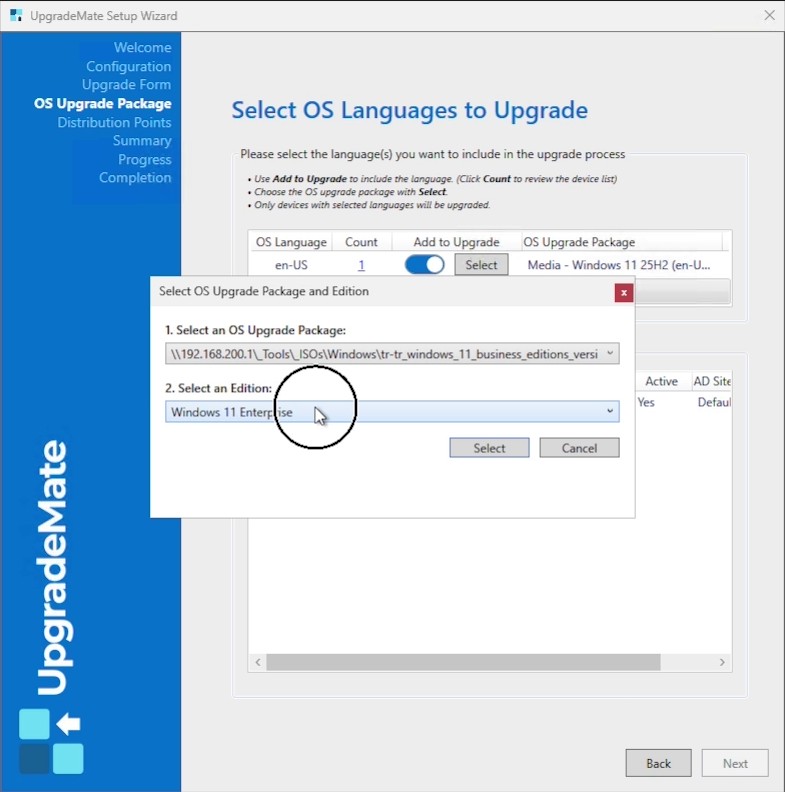 Selecting an ISO and the Windows 11 Enterprise edition for a new language package