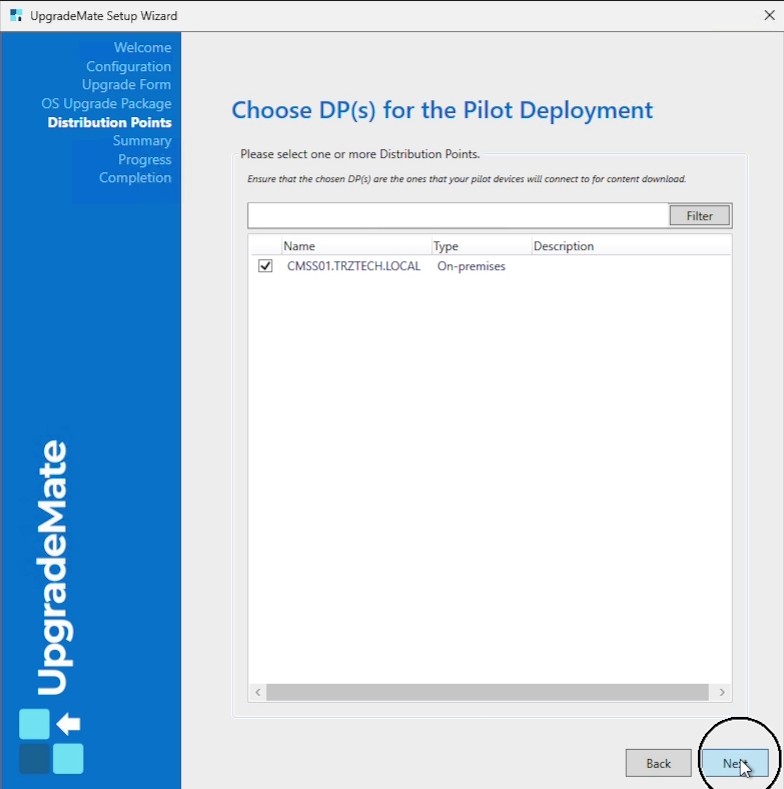 Choose DP(s) for the Pilot Deployment screen